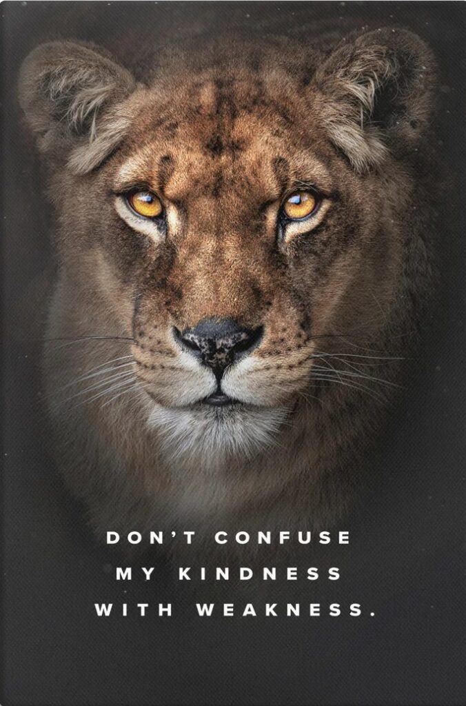 A lioness looks at the viewer. Beneath her, "Don't confuse my kindness with weakness" is written. 