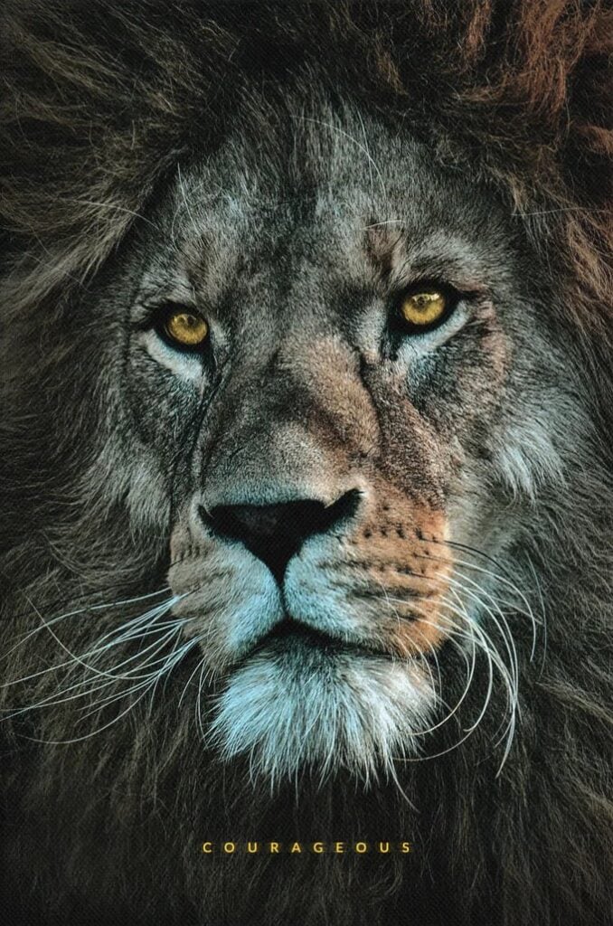 A noble lion looks off to the distance. COURAGEOUS is written at the bottom. 